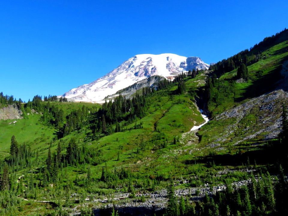 Skyline Trail at Mt. Rainier NP in WA