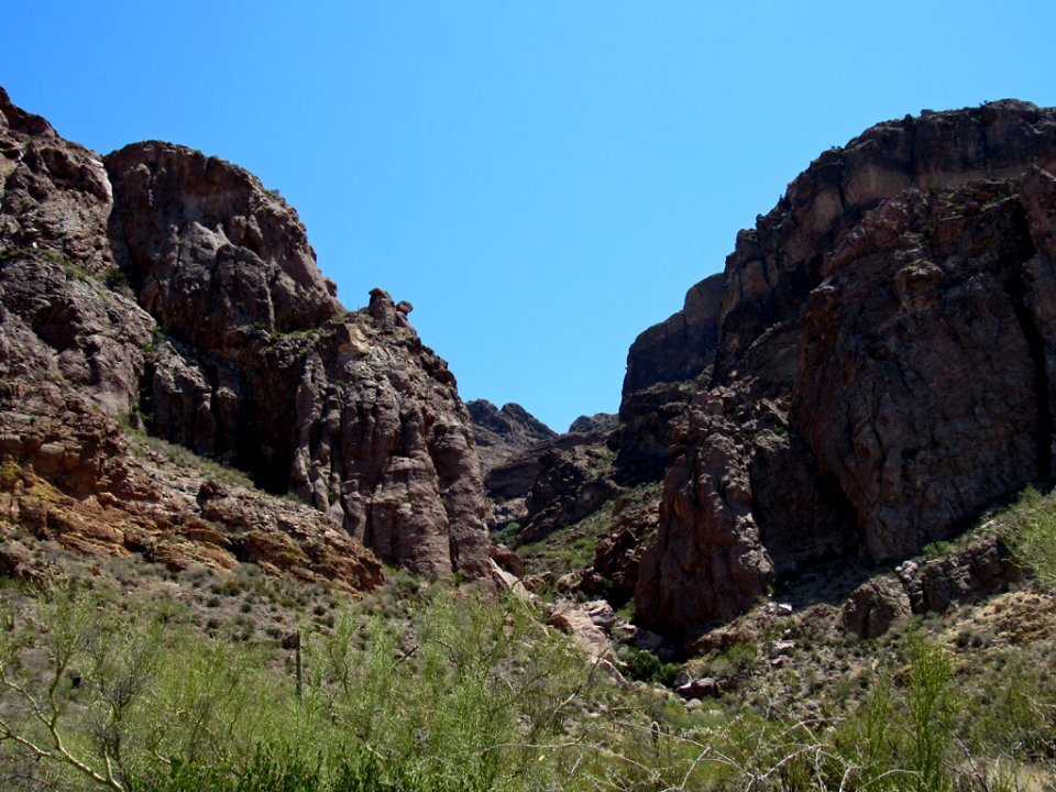 Organ Pipe Cactus NM in Arizona