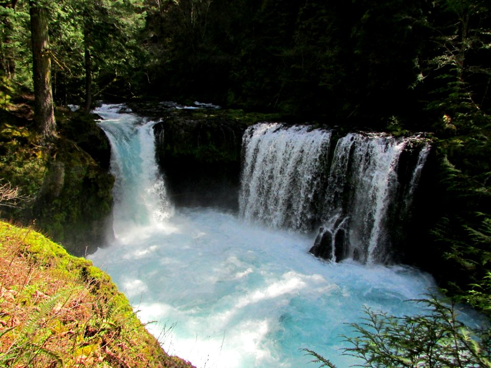 Spirit Falls Trail on Little White Salmon River in WA