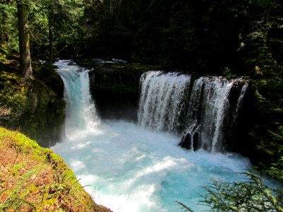 Spirit Falls Trail on Little White Salmon River in WA