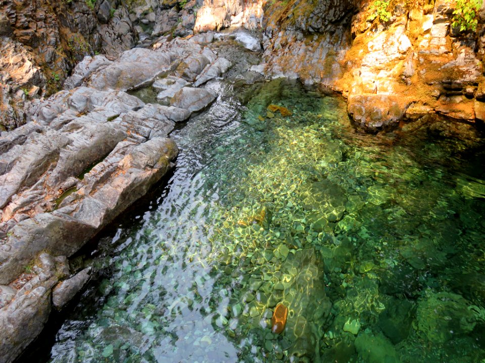 Opal Creek Pool in Oregon