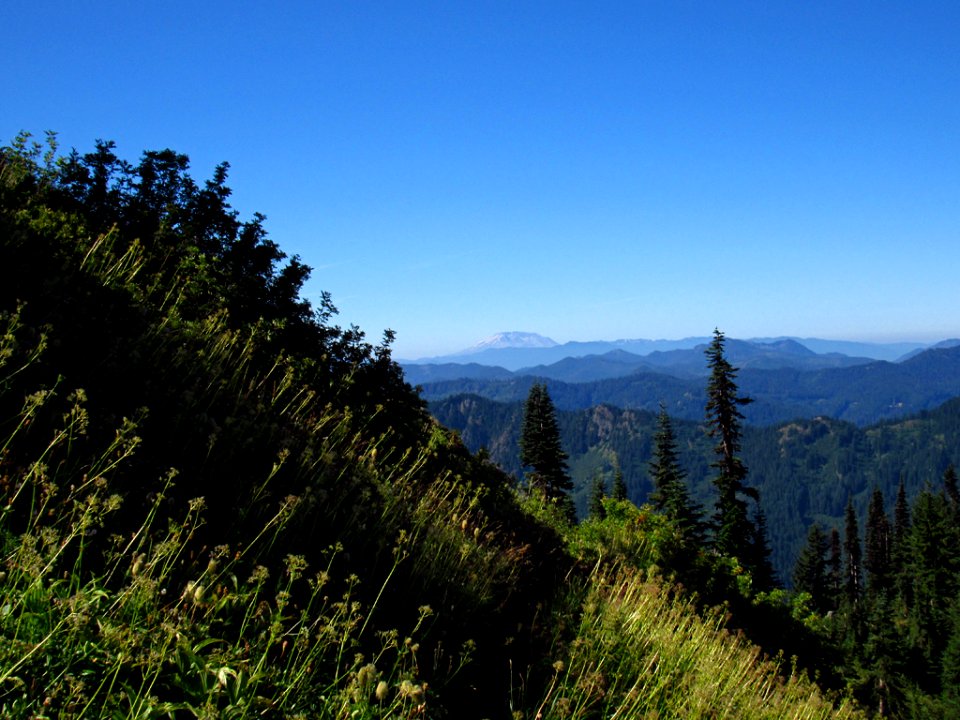 Tatoosh Wilderness in WA