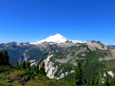 Mt. Baker-Snoqualmie NF in WA photo