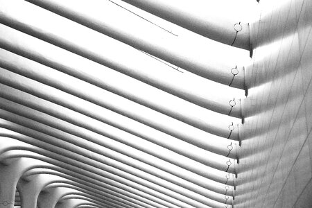 Texture architecture black and white photo
