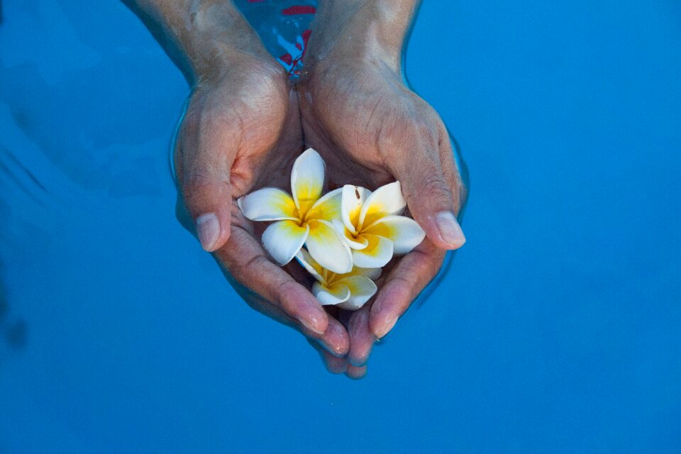 Break stability narcissus