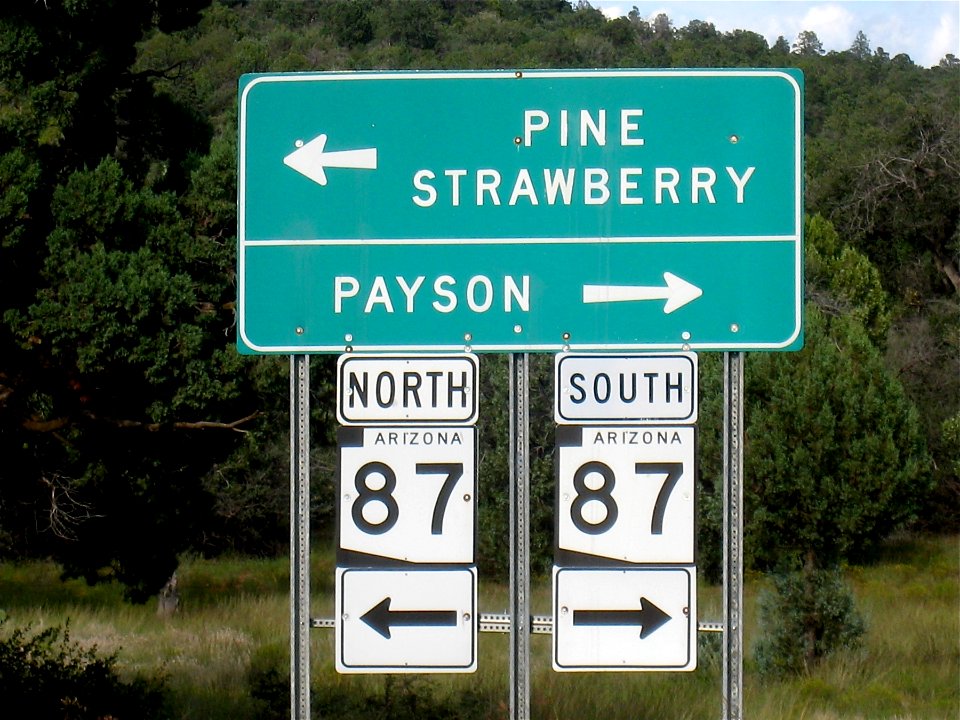 The Road Taken