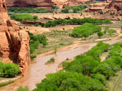 Canyon de Chelly NM in Arizona