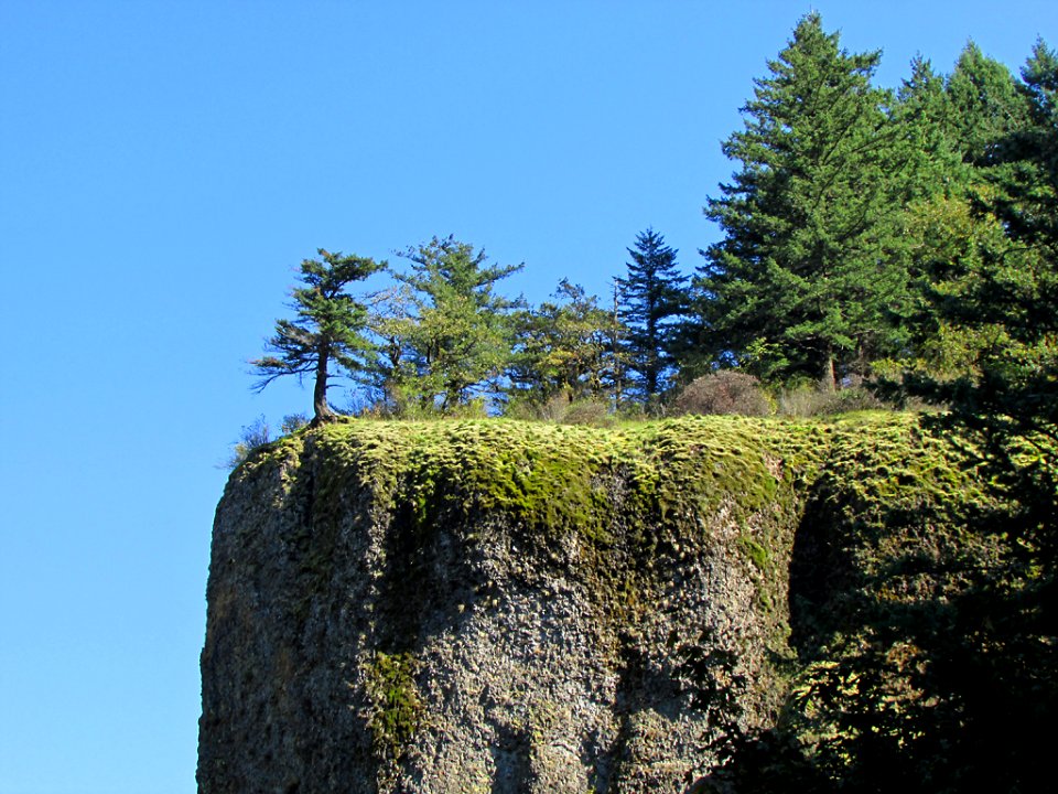 Oneonta Gorge at Columbia River Gorge in OR