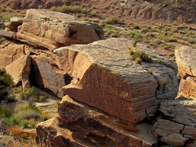 Newspaper Rock at Petrified Forest NP in Arizona photo