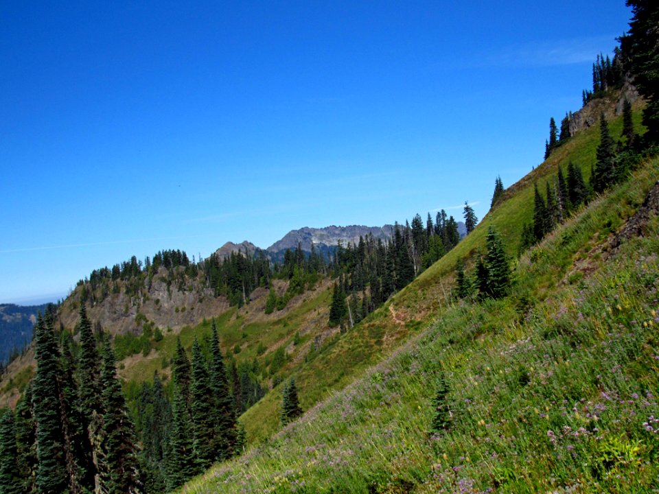 Tatoosh Wilderness in WA
