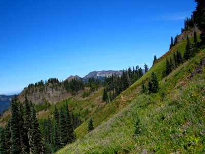 Tatoosh Wilderness in WA