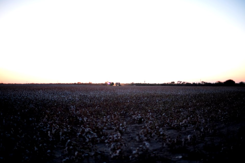 20200823-NRCS-LSC-1320