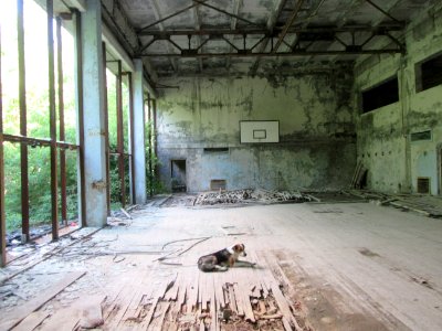 Basket Ball Court Pripyat Chernobyl exclusion zone Ukraine