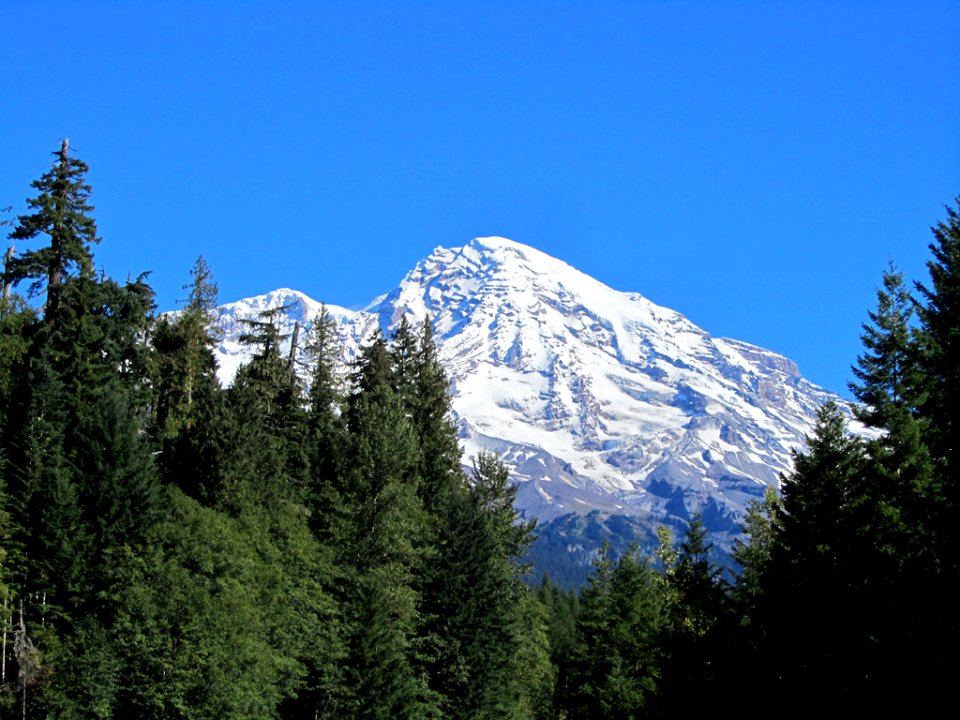 Mt. Rainier NP in WA