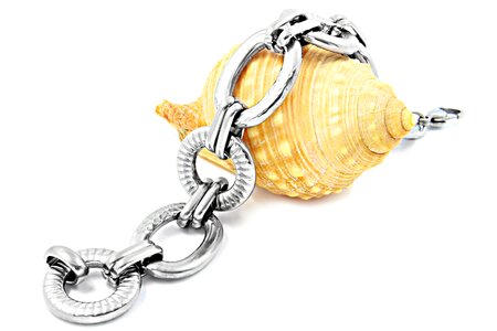 Bracelet steel gold