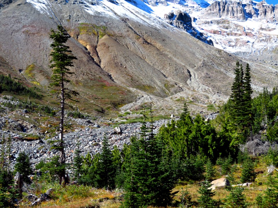 Glacier Basin Trail at Mt. Rainier NP in WA