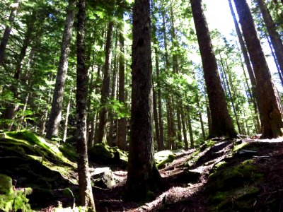 Ramona Falls Hike at Mt. Hood Wilderness in Oregon