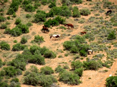 Canyon de Chelly NM in Arizona photo