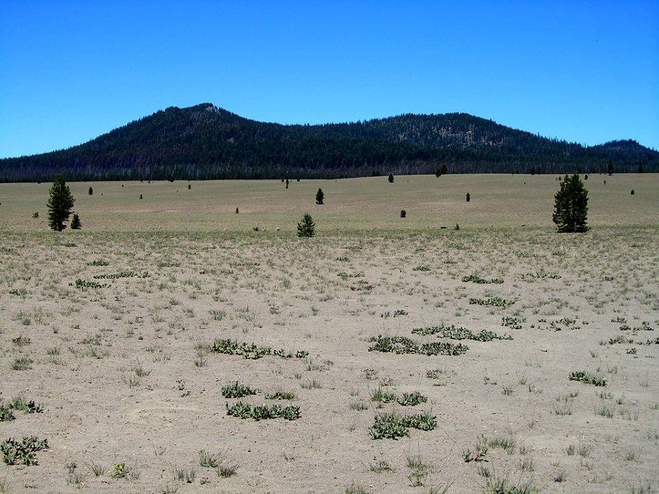 Pumice Desert at Crater Lake National Park in Oregon