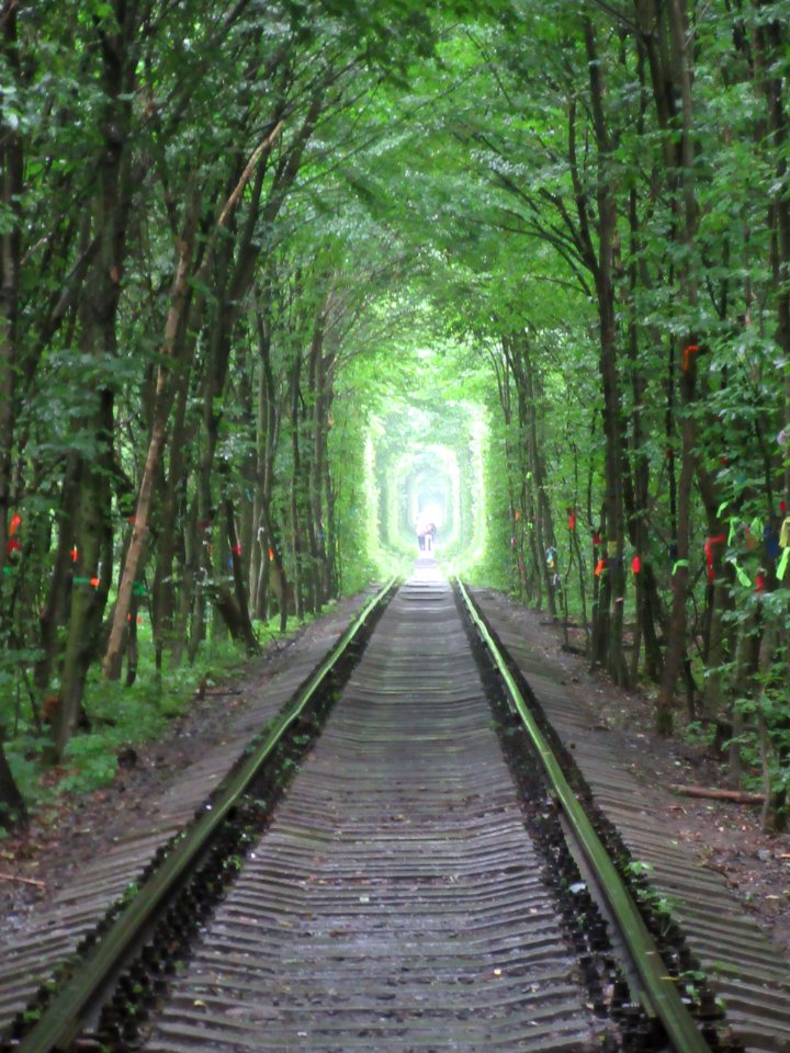 Clear Tracks at the beginning of Tunnel of Love Klevan Ukraine