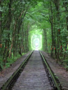 Clear Tracks at the beginning of Tunnel of Love Klevan Ukraine