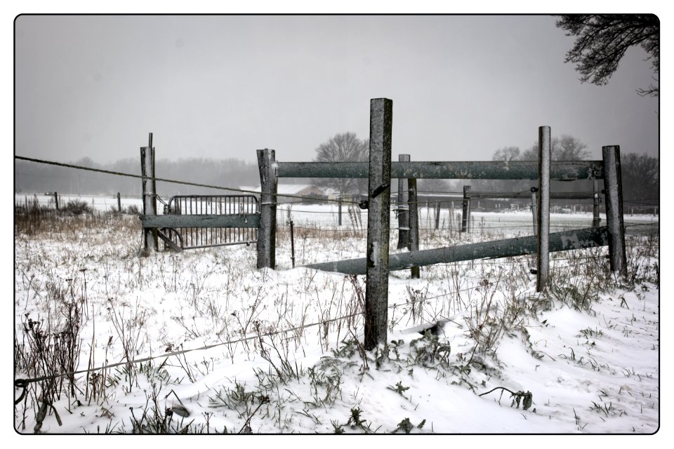 Fence photo