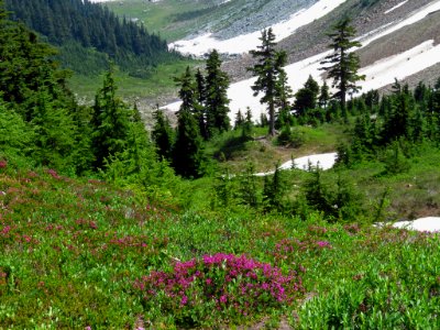 Cascade Pass at North Cascades NP in WA