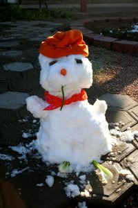 Desert Snowman