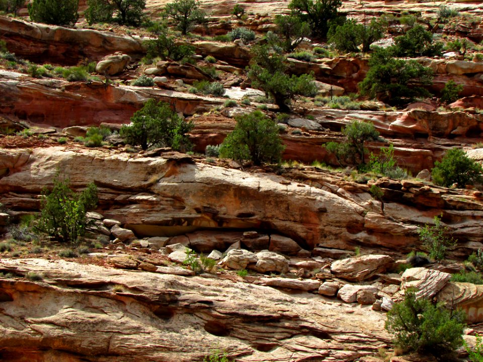Capitol Reef NP in Utah