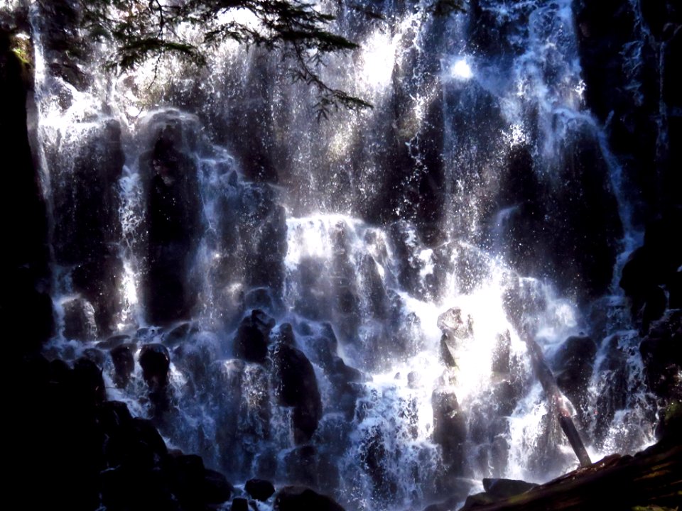 Ramona Falls Hike at Mt. Hood Wilderness in Oregon