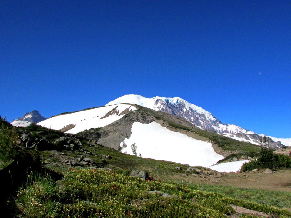 Mt. Rainier NP in WA