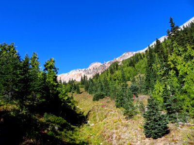 Glacier Basin Trail at Mt. Rainier NP in WA