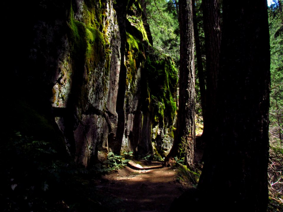 Falls Creek Falls Trail in WA