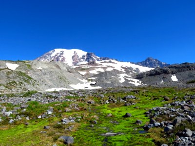 Skyline Trail at Mt. Rainier NP in WA photo