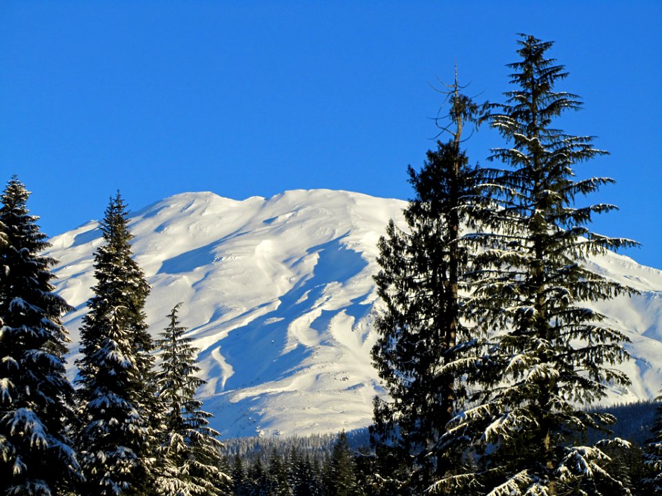 Mt. St. Helens NM in WA