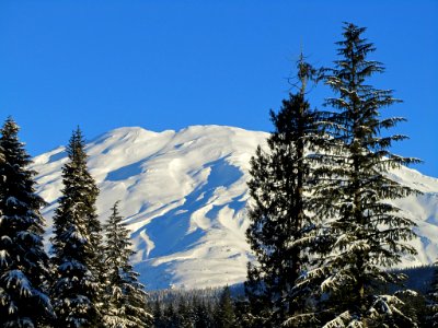 Mt. St. Helens NM in WA