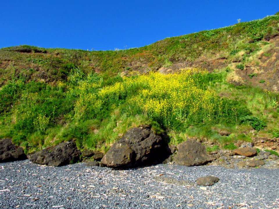 Yaquina Head Natural Area in OR