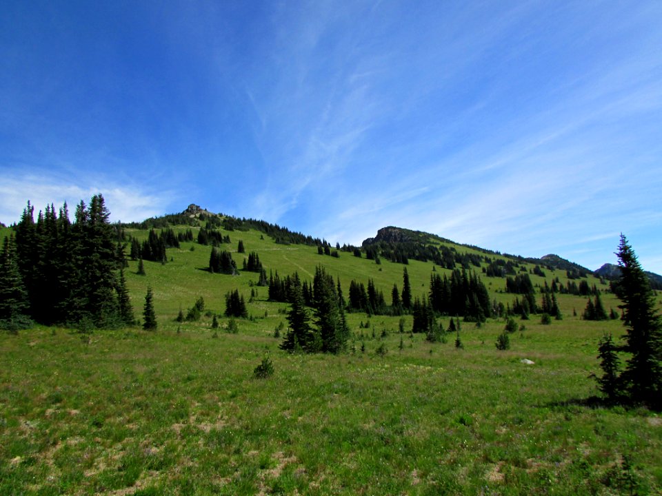 Mt. Rainier NP in WA