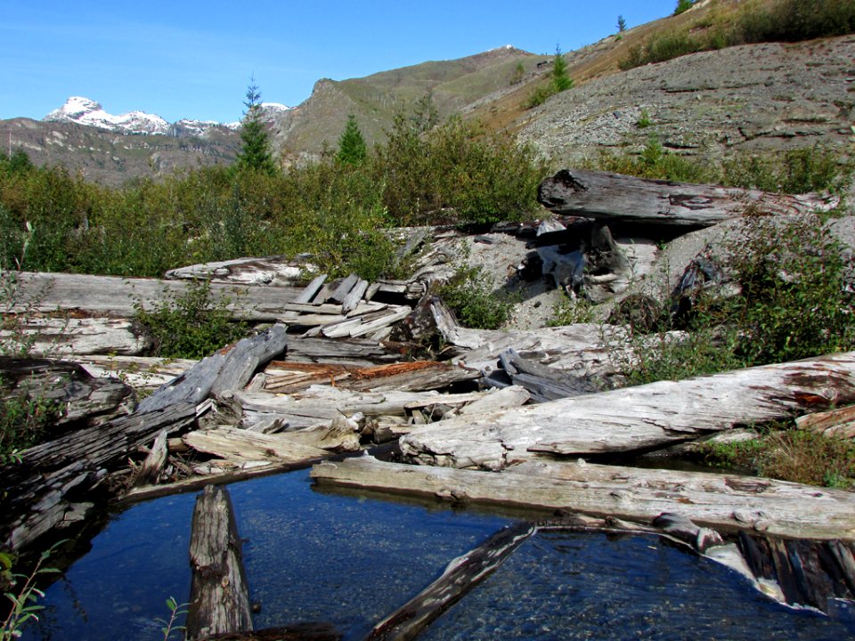 Harmony Falls at Mt. St. Helens NM in WA