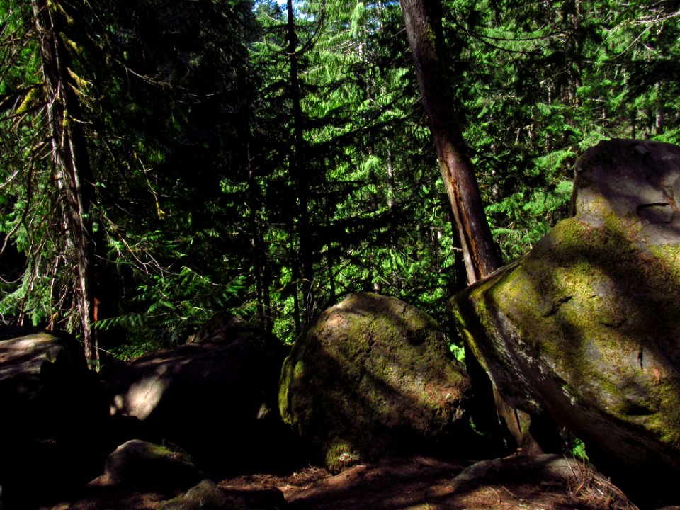 Falls Creek Falls Trail in WA