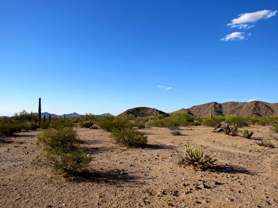 Sonoran Desert NM in AZ