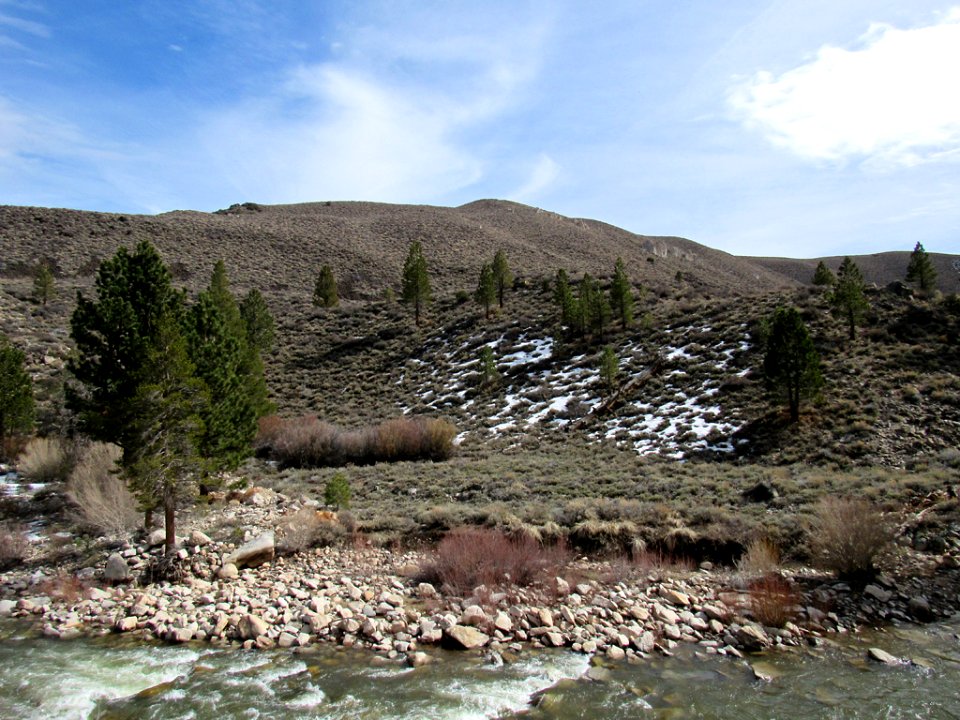 West Walker River in California