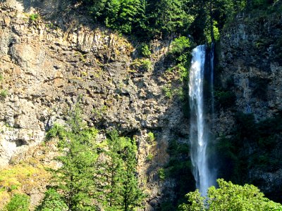Multnomah Falls at Columbia River Gorge in Oregon photo