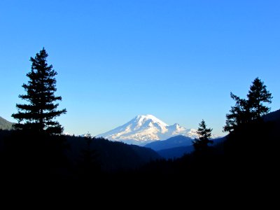 Mt. Rainier NP in WA photo