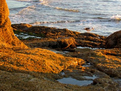 Hug Point at Pacific Coast in OR