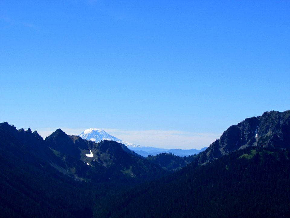Mt. Rainier NP in WA