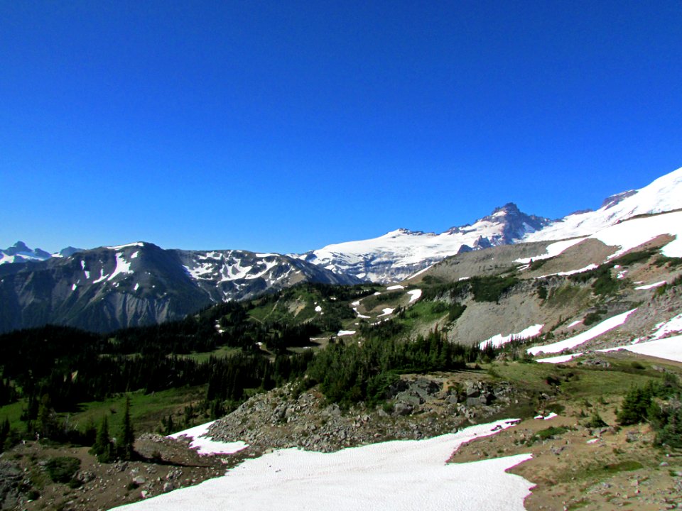 Mt. Rainier NP in WA