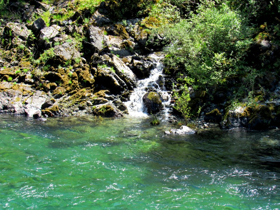 Smith River at Jedediah Smith Redwoods SP in California