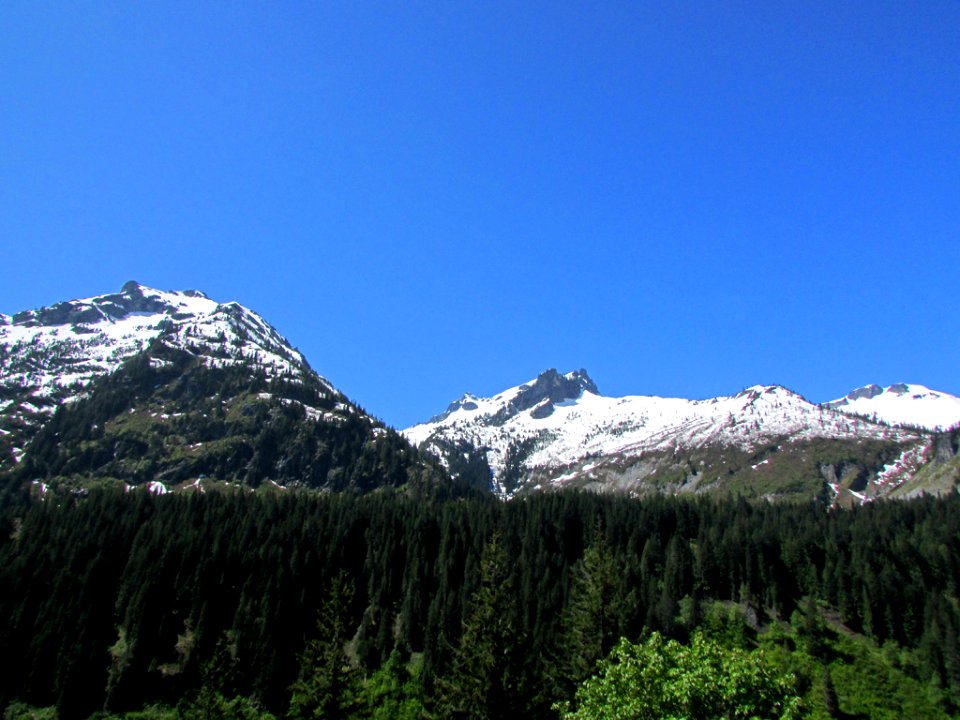 Mt. Rainier NP in WA
