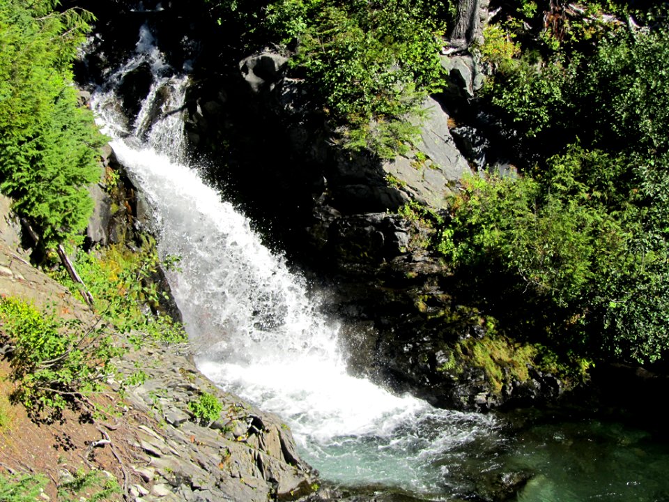 Mt. Rainier NP in WA
